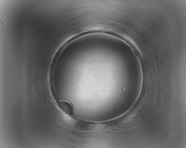 X0000071830991200606301314