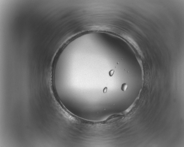 X0000071830992200606301314