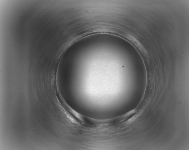 X0000071830993200606301314