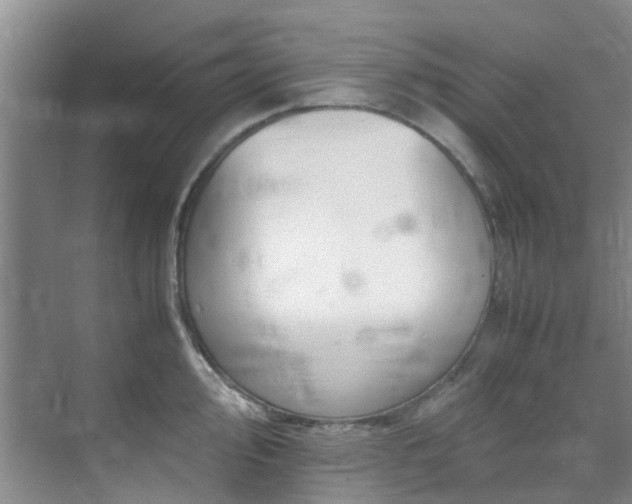 X0000071831000200606301314