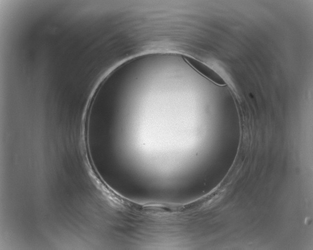 X0000071831004200606301314