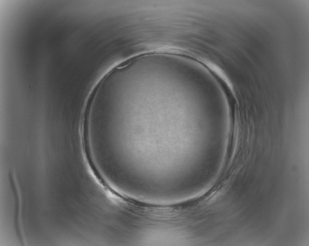 X0000071831007200606301314