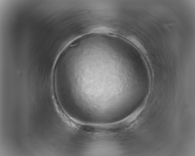 X0000071831008200606301314