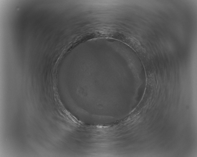 X0000071831009200606301313