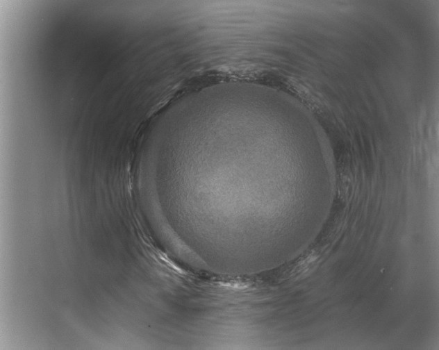 X0000071831010200606301313