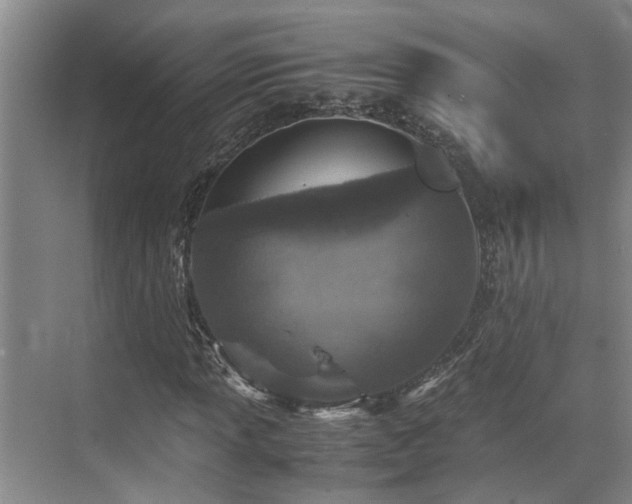 X0000071831013200606301313