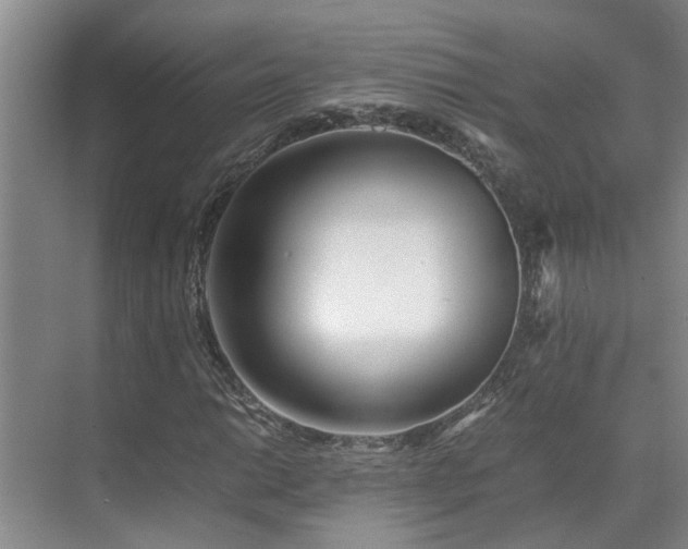 X0000071831014200606301313