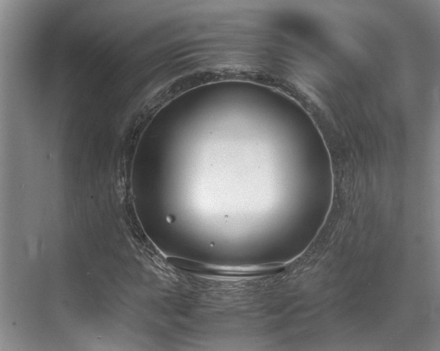 X0000071831015200606301313