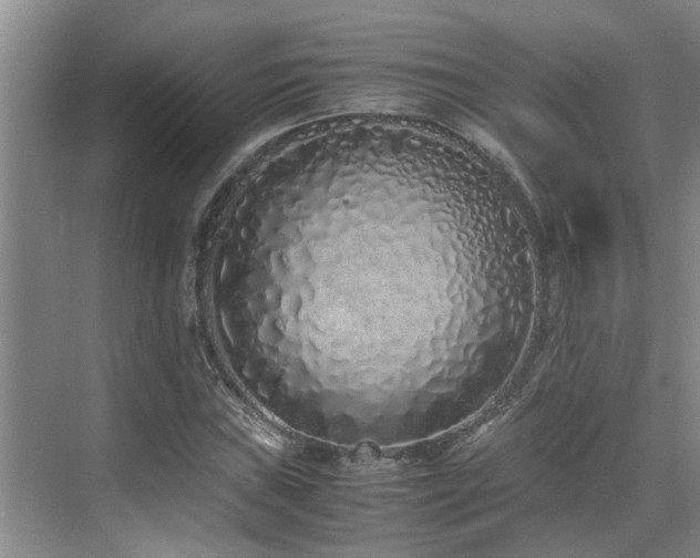 X0000071831019200606301313