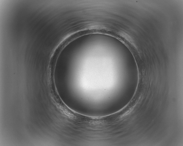 X0000071831021200606301313