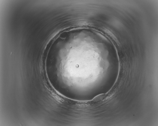 X0000071831023200606301313