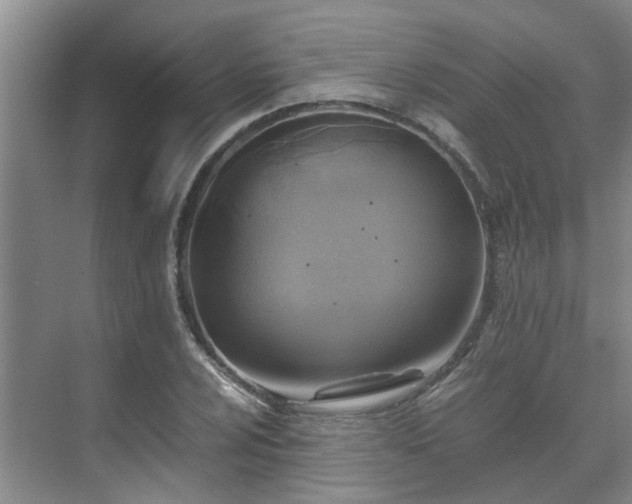 X0000071831024200606301313