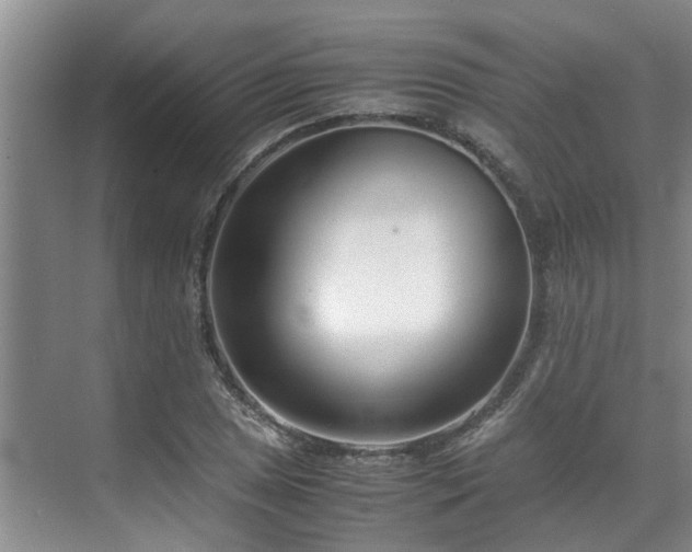 X0000071831025200606301313