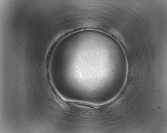 X0000071831027200606301313