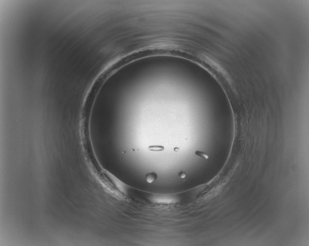 X0000071831029200606301313