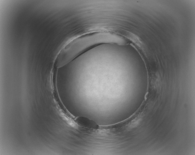 X0000071831030200606301313