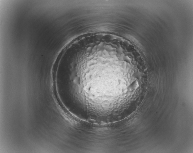 X0000071831031200606301313