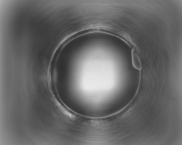 X0000071831032200606301313