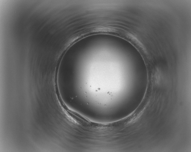 X0000071831033200606301313