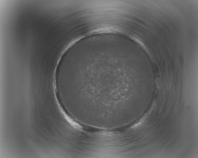 X0000071831034200606301313