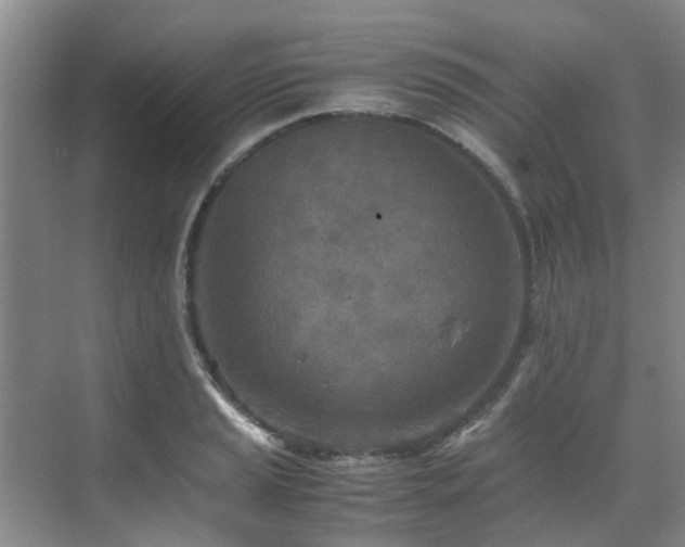 X0000071831037200606301313