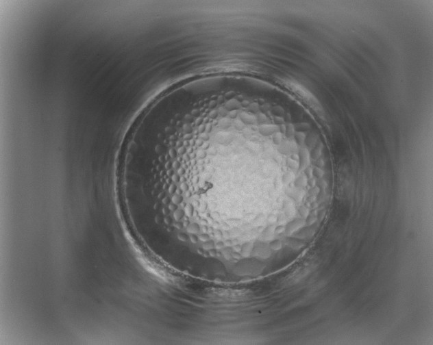 X0000071831039200606301313