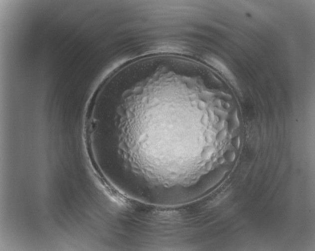 X0000071831043200606301313