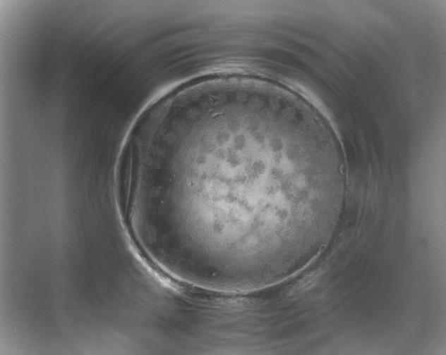 X0000071831045200606301313