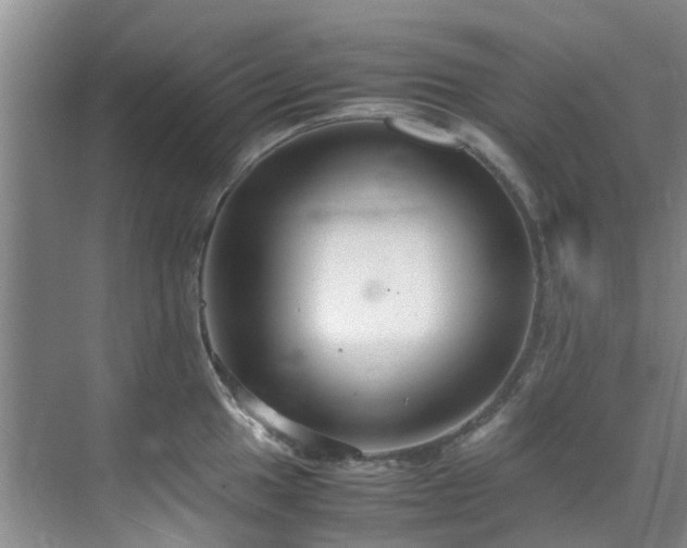 X0000071831049200606301314