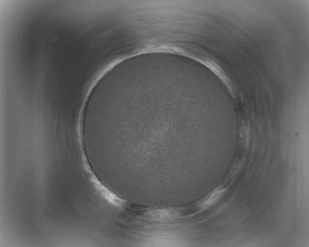 X0000071831054200606301314