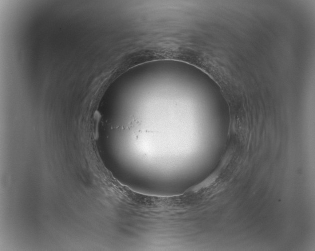 X0000071831057200606301313