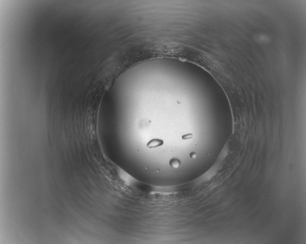 X0000071831058200606301313