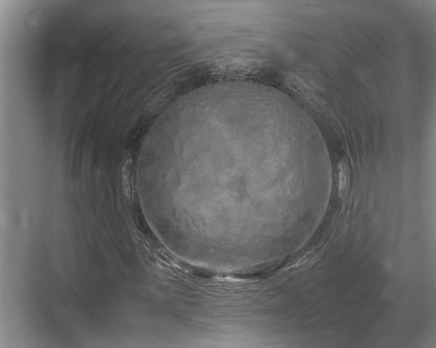 X0000071831059200606301313