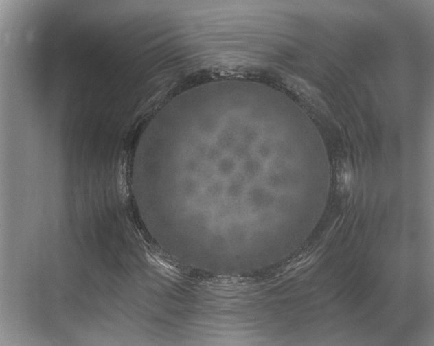 X0000071831060200606301313