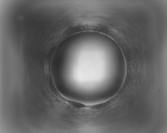 X0000071831061200606301313