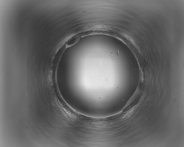 X0000071831066200606301313