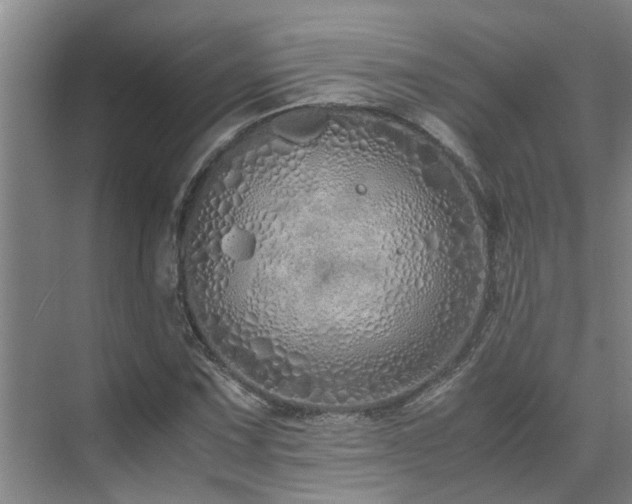 X0000071831067200606301313