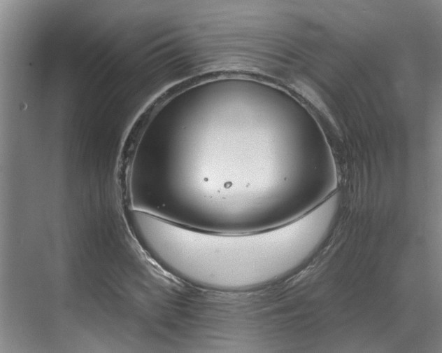 X0000071831068200606301313