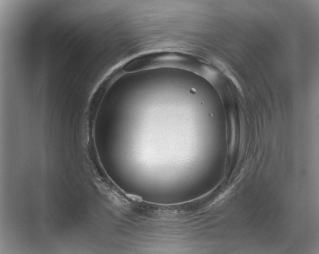 X0000071831069200606301313