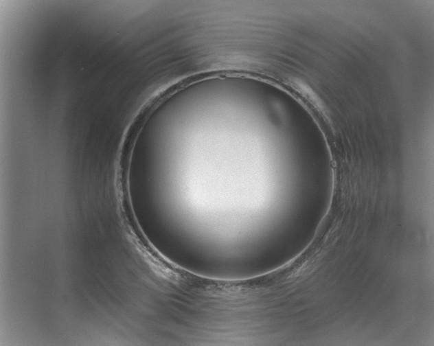 X0000071831072200606301313