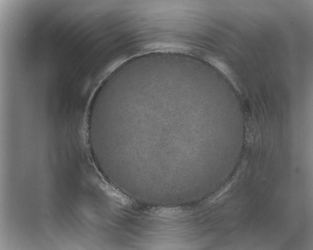 X0000071831074200606301313