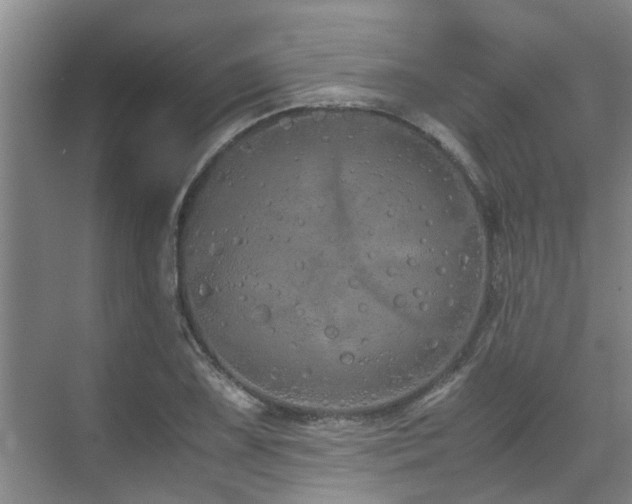 X0000071831075200606301313