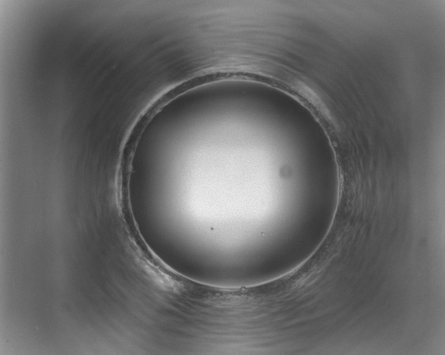 X0000071831076200606301313