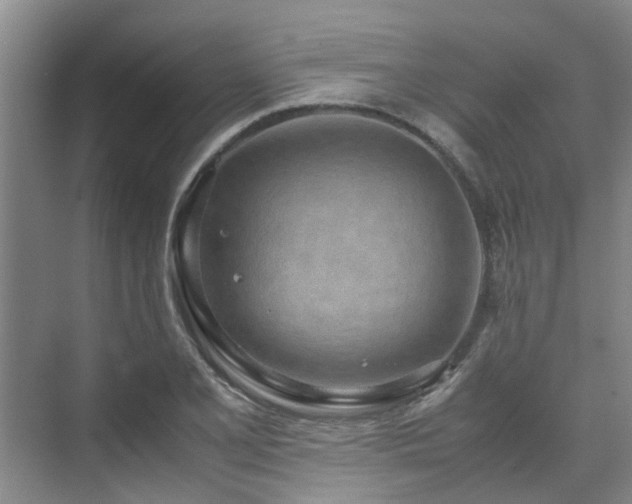 X0000071831077200606301313