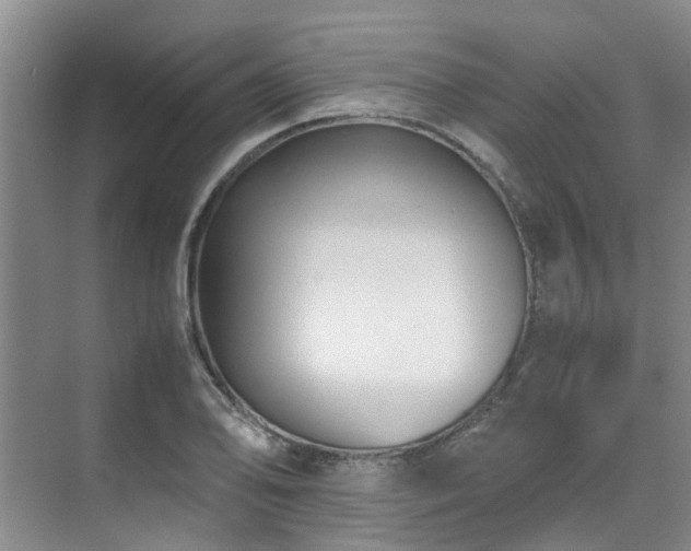 X0000071831078200606301312