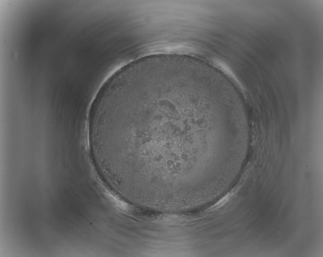 X0000071831079200606301312