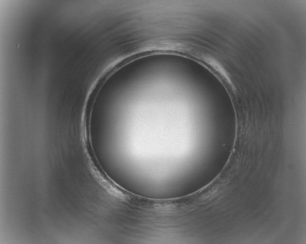 X0000071831080200606301312