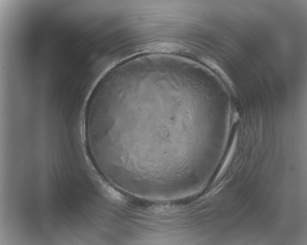 X0000071831083200606301312