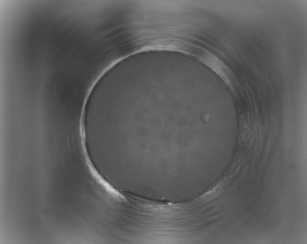 X0000071831084200606301312