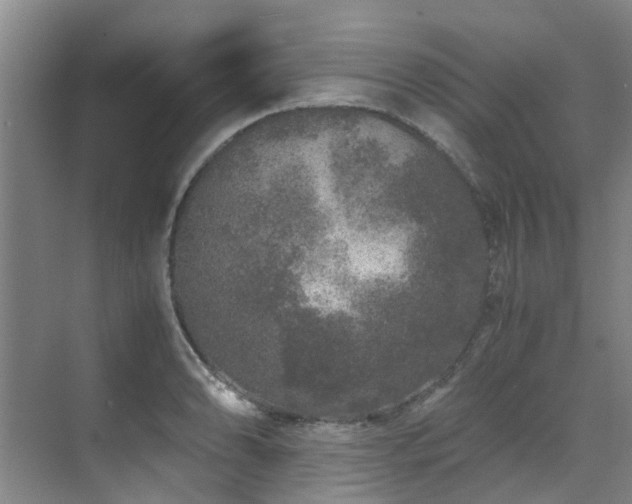 X0000071831086200606301312